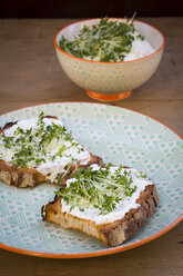 Slice of toasted bread with organic curd and cress - LVF004438