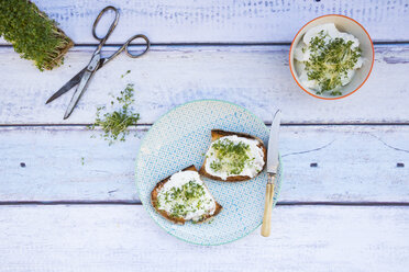 Getoastete Brotscheibe mit Bio-Quark und Kresse - LVF004442