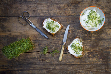 Getoastete Brotscheibe mit Bio-Quark und Kresse - LVF004444