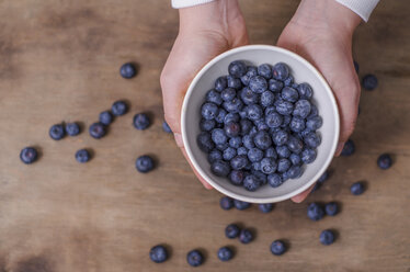 Woman's hands holding bowl of blueberries - ODF001366