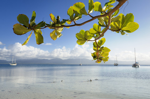 Panama, San Blas Inseln, Segelboote bei Isla Moron, lizenzfreies Stockfoto