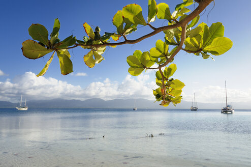 Panama, San Blas Islands, Sailing boats near Isla Moron - STE000141