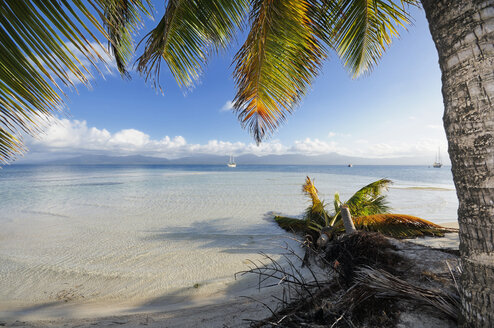 Panama, San-Blas-Inseln, bei Isla Moron - STE000142