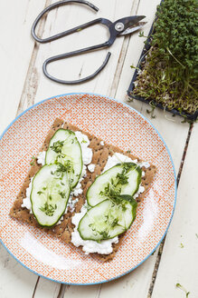 Knäckebrot mit Hüttenkäse, Gurkenscheiben und Kresse - SBDF002652