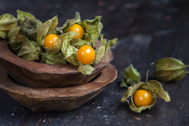 Wooden bowls of physalis - SBDF002655