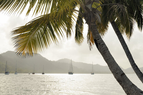 Panama, Isla Linton, bay with sailing boats - STEF000144