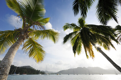 Panama, Isla Linton, Bucht mit Segelbooten - STEF000145