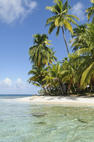 Panama, San Blas Islands, desert island, beach with palms stock photo