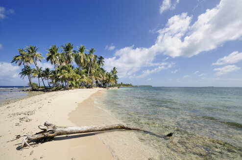 Panama, San Blas Islands, desert island with palms - STEF000151