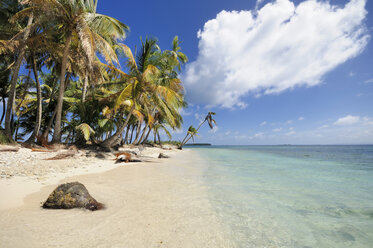 Panama, San Blas Islands, Cayos Los Grullos - STEF000153