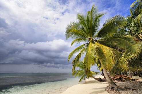 Panama, San Blas Islands, Isla Chichime - STEF000156