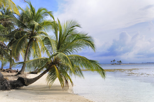 Panama, San Blas Islands, Isla Chichime - STEF000157