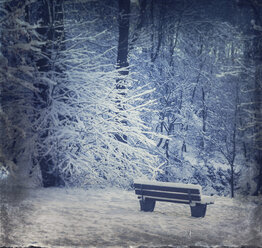 Germany, Empty bench in winter forest - DWIF000670