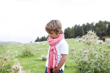 Spanien, Cerdanya, kleiner Junge mit rosa Schal auf einer Wiese - VABF000078