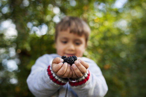 Kleiner Junge hält Brombeeren in den Händen - VABF000091