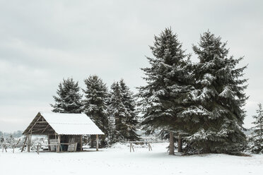 Germany, snow-covered landscape with shelter and firs - ASCF000466