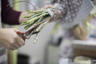 Florist cutting flower stems - ZEF008122