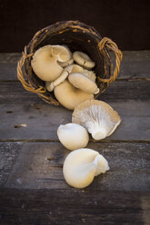 Weidenkorb mit Austernpilzen auf Holz - LVF004477