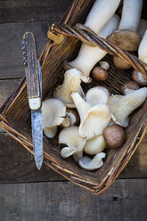 Weidenkorb mit verschiedenen Pilzsorten und einem Taschenmesser auf Holz - LVF004482