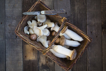 Weidenkorb mit verschiedenen Pilzsorten und einem Taschenmesser auf Holz - LVF004483
