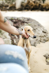 Spanien, Llanes, junge Frau streichelt ihren Windhund am Strand - MGOF001300