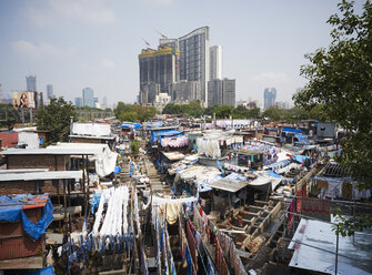 India, Maharashtra, Mumbai, Dhobi Ghat, laundry - DISF002356