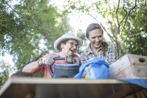 Happy senior woman and teenage girl gardening together - ZEF008290