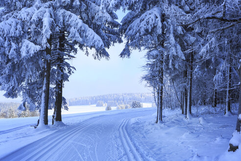Deutschland, Thüringen, Winterlicher Wald mit Skiloipen bei Masserberg - VTF000501