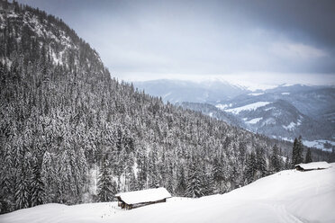Austria, Salzburg State, Heutal, winter landscape - HAMF000139