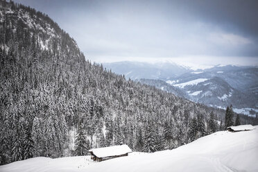 Österreich, Salzburger Land, Heutal, Winterlandschaft - HAMF000139