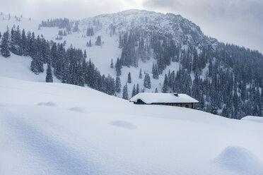 Austria, Salzburg State, Heutal, lonely alpine cabin in winter - HAMF000141