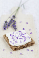 Brotscheibe mit Quark und Lavendelblüten auf Schneidebrett - GWF004585