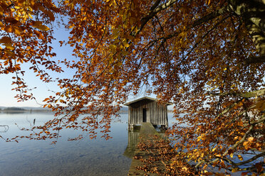 Germany, Lake Kochel, wooden boardwalk and boathouse in autumn - LBF001362