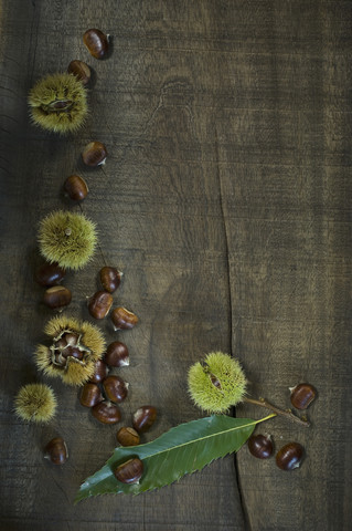 Blatt und Edelkastanien auf dunklem Holz, lizenzfreies Stockfoto