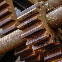 Rusty old gear, close-up - HOHF001387