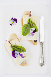 Olivenbaguette mit Bergkäse, Veilchen und Blutampfer, essbare Blüten - GWF004593