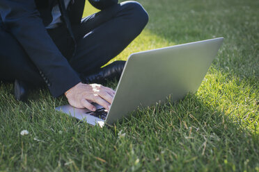 Businessman sitting on meadow using laptop - JUBF000091