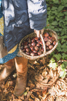 Girl carrying basket with chestnuts - ASCF000487