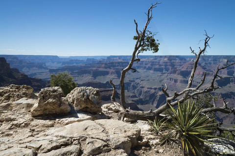 USA, Arizona, South Rim, Grand Canyon, Beobachtungspunkt, lizenzfreies Stockfoto