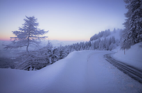 Deutschland, Berchtesgadener Land, Rossfeldstraße im Morgenlicht - STCF000183