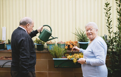 Älteres Paar bei der Gartenarbeit auf dem Balkon - GEMF000684