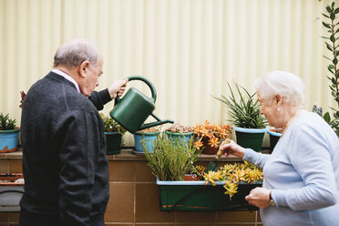 Älteres Paar bei der Gartenarbeit auf dem Balkon - GEMF000685