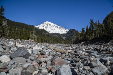 USA, Washington, Seattle, Mount Rainier National Park - NGF000256