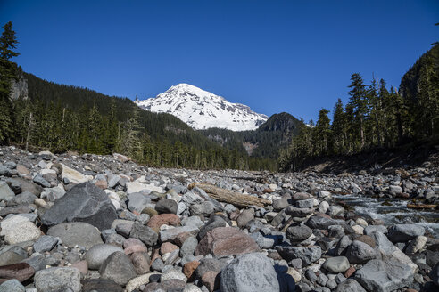 USA, Washington, Seattle, Mount Rainier National Park - NGF000256