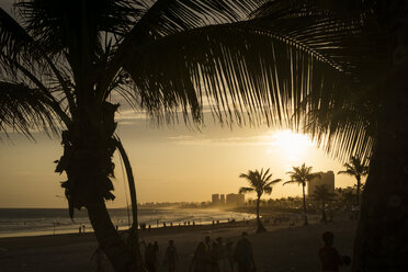 Brazil, Salvador de Bahia, view to the beach at twilight - MAUF000234