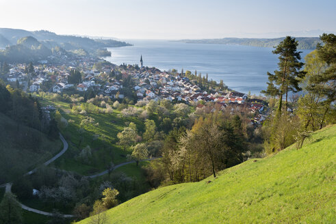 Germany, Sipplingen, View over town and Lake Constance - SHF001844