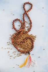 coriander and indian mala - MYF001333