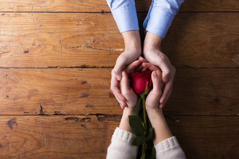 Die Hände eines jungen Paares halten eine rote Rose, lizenzfreies Stockfoto