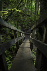 USA, Staat Washington, Olympic National Park, hölzerne Fußgängerbrücke im Wald - NGF000275