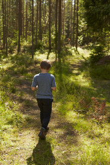 Schweden, Rückenansicht eines Jungen, der in den Wald geht - TSFF000009